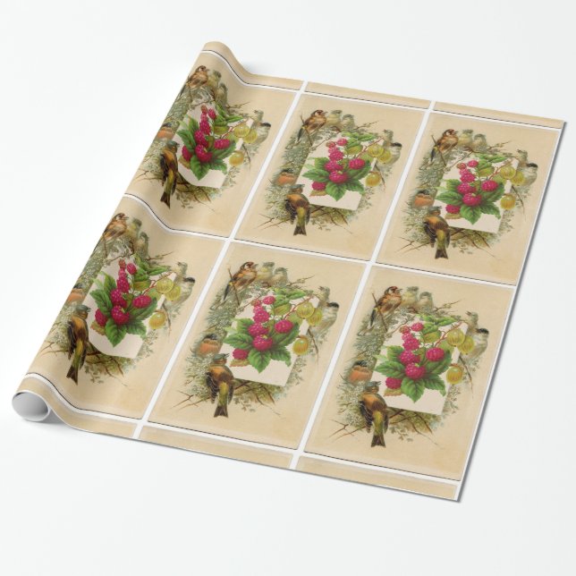 PAPEL DE REGALO FRUTAS DE TEMPORADA / NATURALEZA, PÁJAROS Y RASPER (Desenrollado)