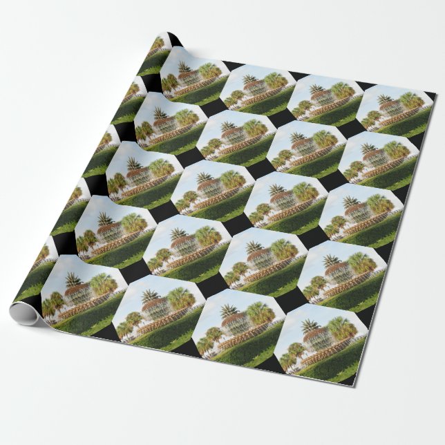 Papel De Regalo Fuente de la piña del SC de Charleston, parque de (Desenrollado)