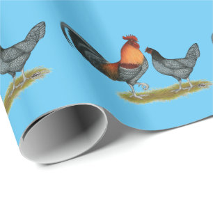 Papel De Regalo Gallina azul de Delaware