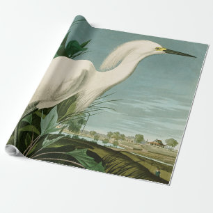 Papel De Regalo Garza Blanca de Audubon Ave Birding