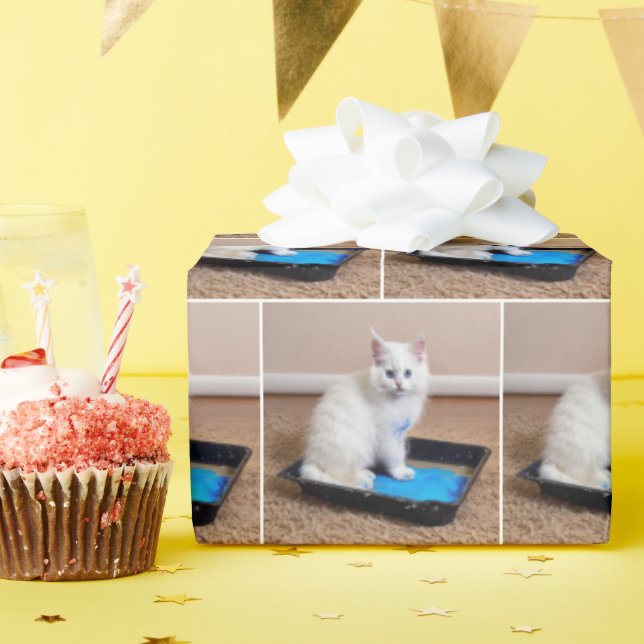 Papel De Regalo Gatito Blanco En Pintura Azul (Fiesta de cumpleaños )