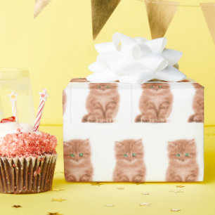 Papel De Regalo Gatito De Tabby En Blanco  
