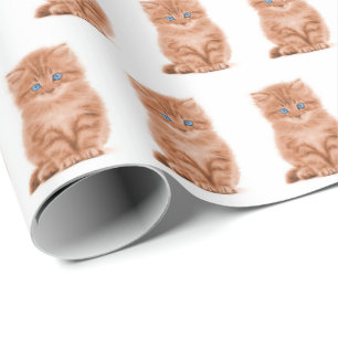 Papel De Regalo Gatito De Tabby En Blanco