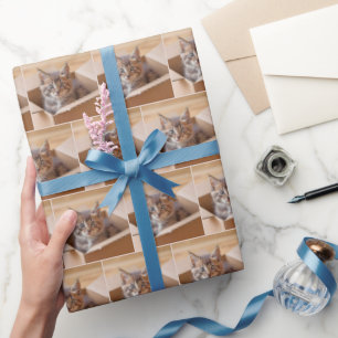 Papel De Regalo Gatito De Tabby En Caja De Cartón