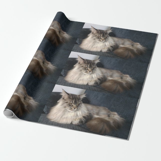 Papel De Regalo Gato de Coon de Maine (Desenrollado)