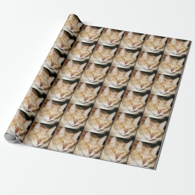 Papel De Regalo Gato de Coon de Maine (Desenrollado)