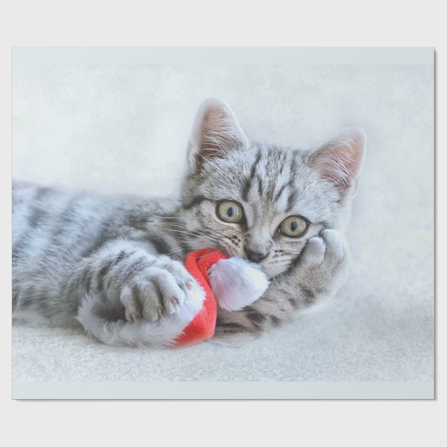 Papel De Regalo Gato de grisáceo lindo con Navidades Gorras navida (Superficie plana)