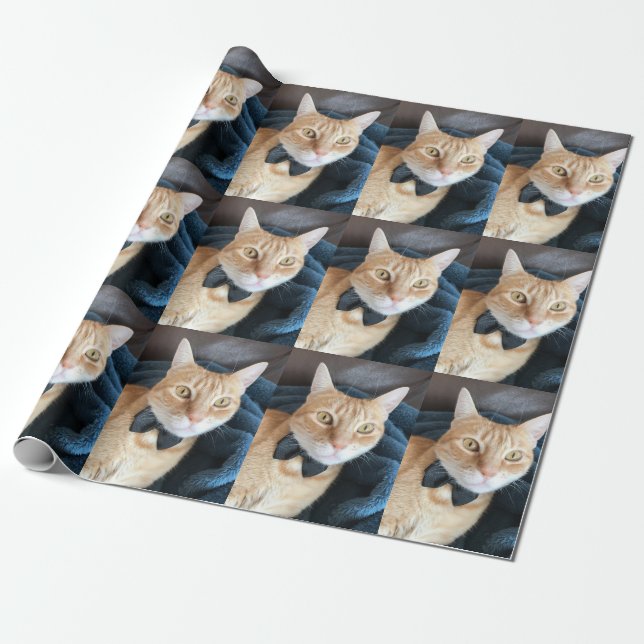 Papel De Regalo Gato de la pajarita (Desenrollado)