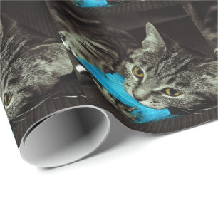 Papel De Regalo Gato de Tabby con pluma de Shirley Taylor