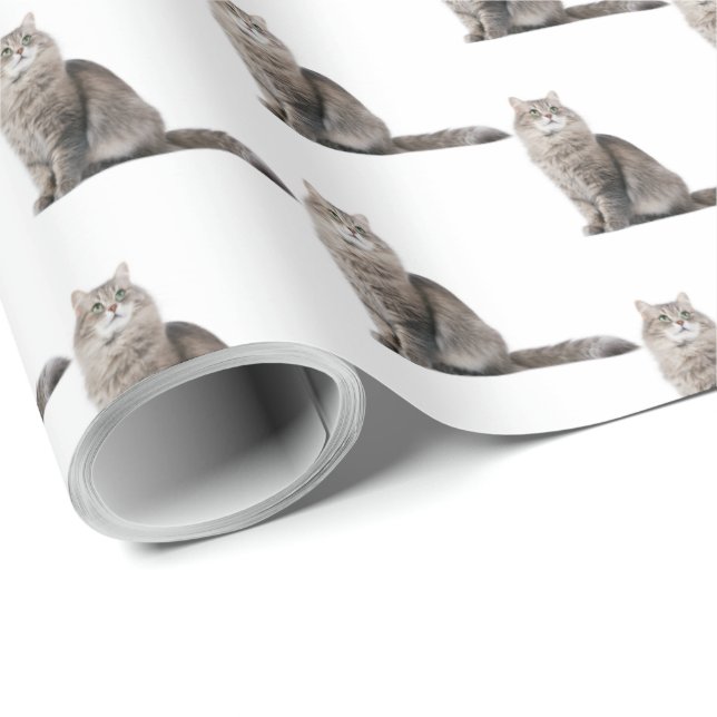 Papel De Regalo gato de tabú (Esquina del rollo)
