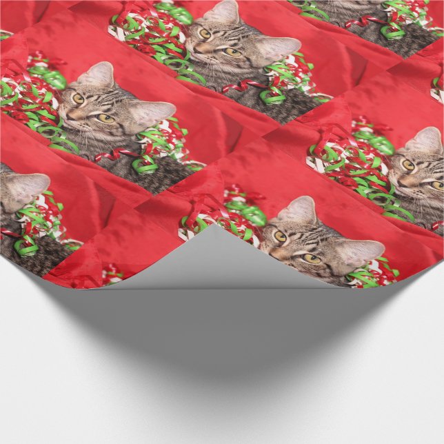 Papel De Regalo Gato del gatito del tabby del navidad (Esquina)