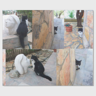 PAPEL DE REGALO GATO DETECTIVO DETRÁS DE LA PARED DE PIEDRA