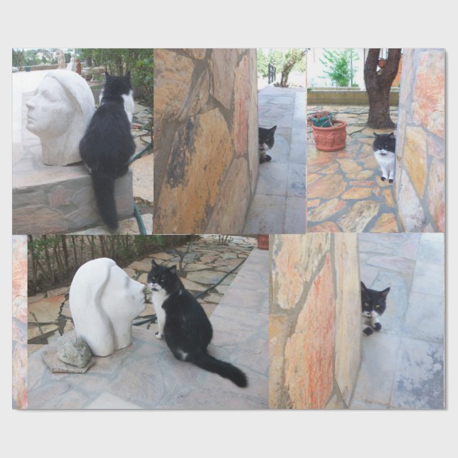 PAPEL DE REGALO GATO DETECTIVO DETRÁS DE LA PARED DE PIEDRA (Superficie plana)