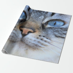 Papel De Regalo Gato gris