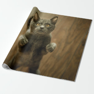 PAPEL DE REGALO GATO GRIS EN DOS PIES