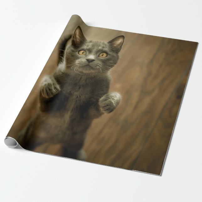 PAPEL DE REGALO GATO GRIS EN DOS PIES (Desenrollado)