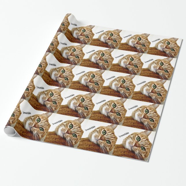 Papel De Regalo Gato irresistible (Desenrollado)