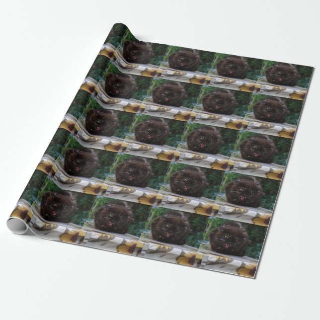 Papel De Regalo Gato negro enojado (Desenrollado)