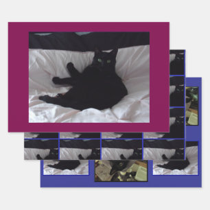 Papel de regalo Gato Negro Plano conjunto de 3 hoj