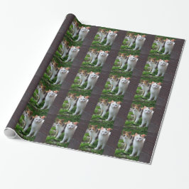 Papel De Regalo Gatos jugando afuera