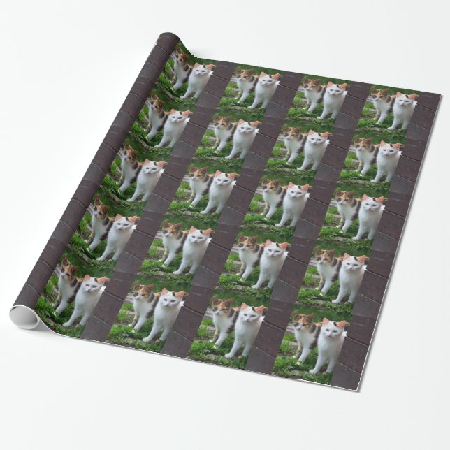 Papel De Regalo Gatos jugando afuera (Desenrollado)
