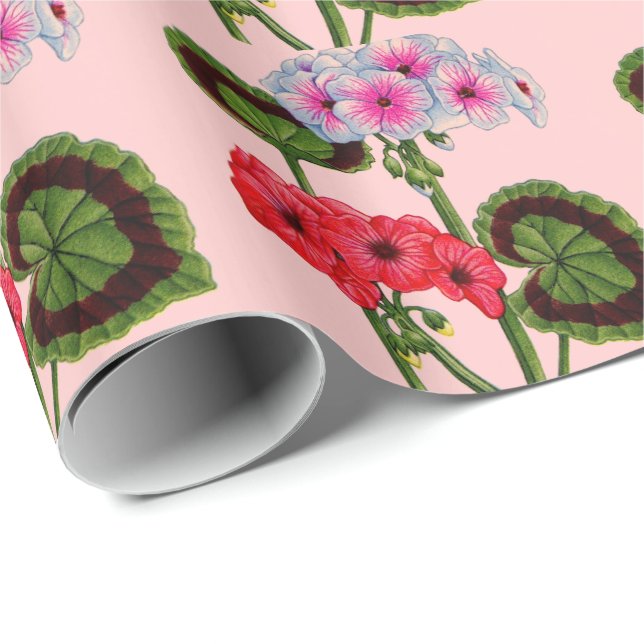 Papel De Regalo geranios (Esquina del rollo)