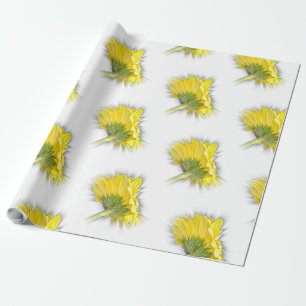 Papel De Regalo gerbera daisy amarillo