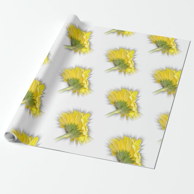 Papel De Regalo gerbera daisy amarillo (Desenrollado)