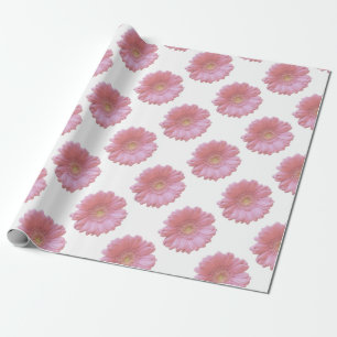Papel De Regalo Gerbera daisy rosa pálido