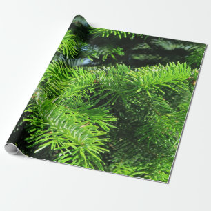 Papel De Regalo geschenkpapier muster