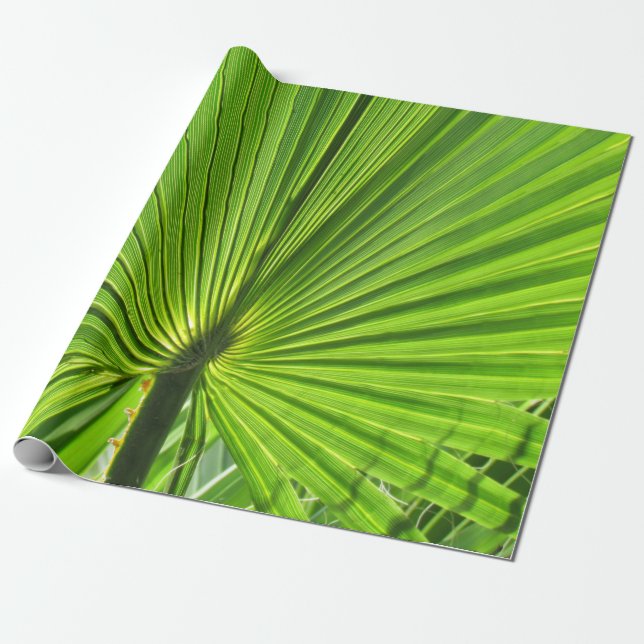 Papel De Regalo Gift Wrap - Palm Leaf (Desenrollado)