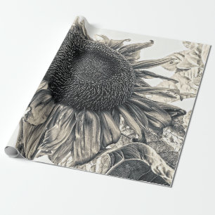 Papel De Regalo Gigantes girasoles Antiguo Vintage Sepia Art