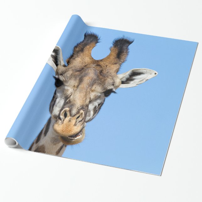 Papel De Regalo Girafa (Desenrollado)