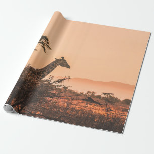PAPEL DE REGALO GIRAFFE EN BLANCO Y NEGRO EN EL CAMPO DE GRASA MAR
