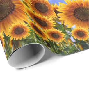Papel de regalo Girasol