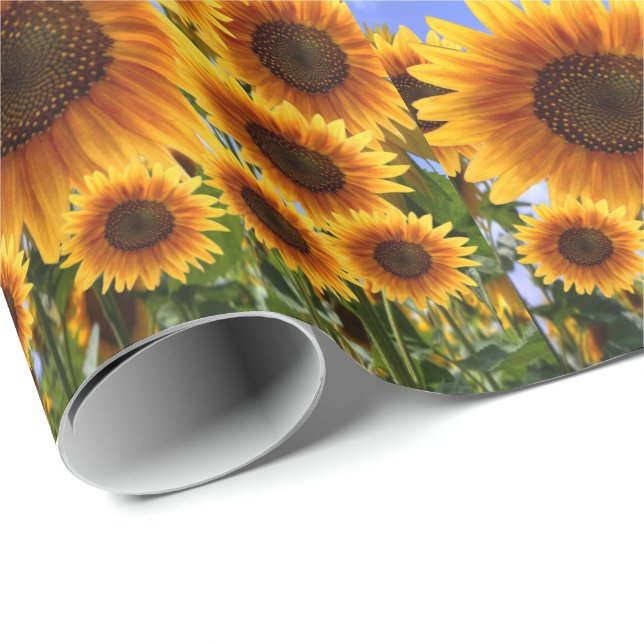 Papel de regalo Girasol (Esquina del rollo)