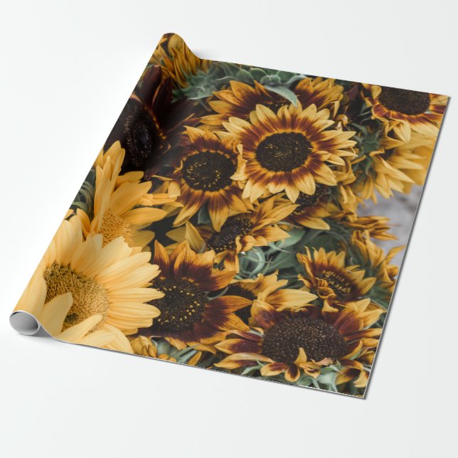 PAPEL DE REGALO GIRASOL (Desenrollado)