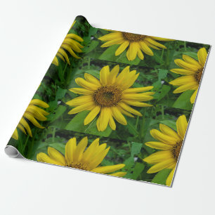 Papel De Regalo Girasol