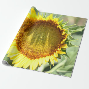 Papel De Regalo Girasol amarillo