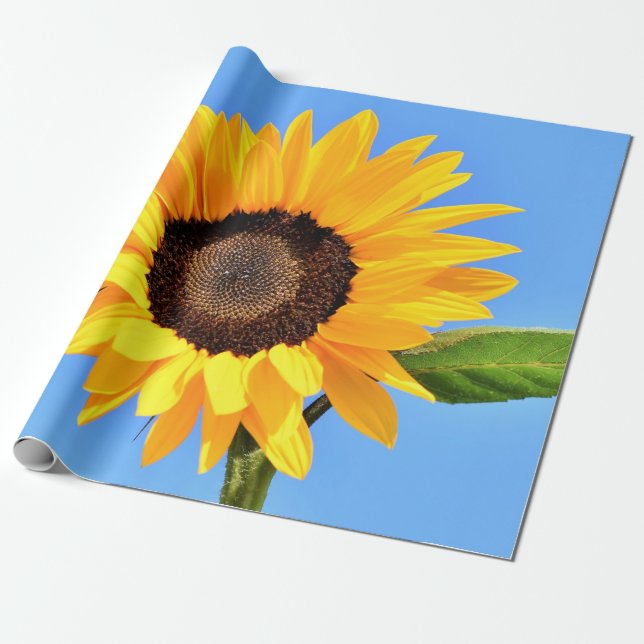 Papel De Regalo Girasol amarillo contra el sol en el cielo azul -  (Desenrollado)