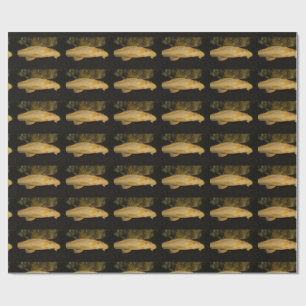 Papel De Regalo Glyptoperichthys gibbiceps