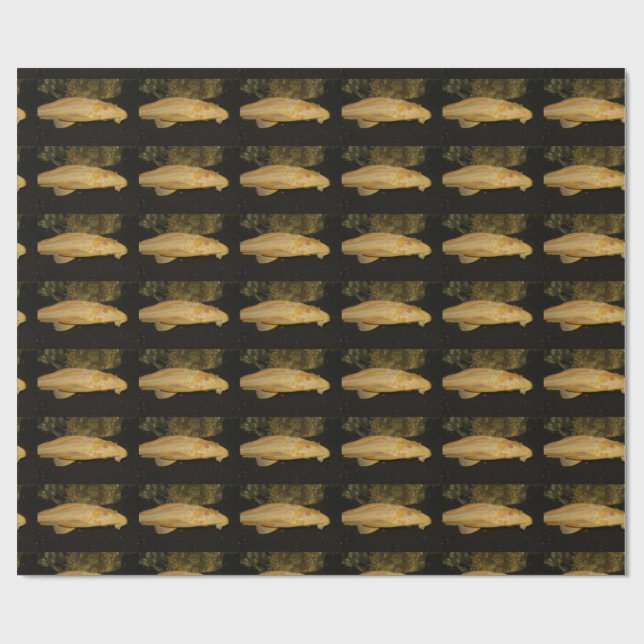 Papel De Regalo Glyptoperichthys gibbiceps (Superficie plana)
