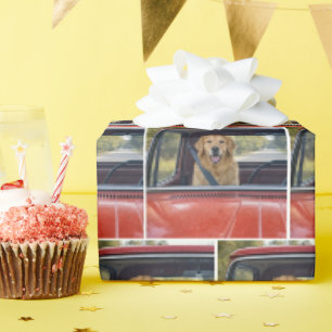 Papel De Regalo Golden Retriever con cinturón de seguridad