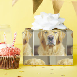 Papel De Regalo Golden Retriever Con Rocios En La Nariz