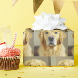 Papel De Regalo Golden Retriever Con Rocios En La Nariz
