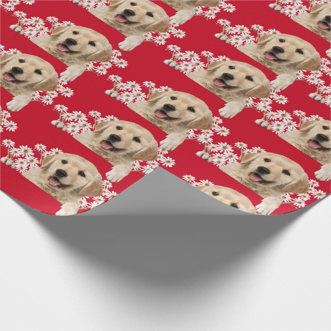 Papel De Regalo Golden Retriever en días sobre rojo (Esquina)