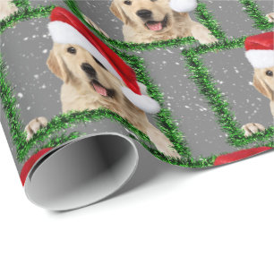 Papel De Regalo Golden Retriever en el marco de la pinza verde