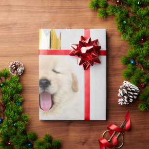 Papel De Regalo Golden Retriever Puppy Yawning Con Corona