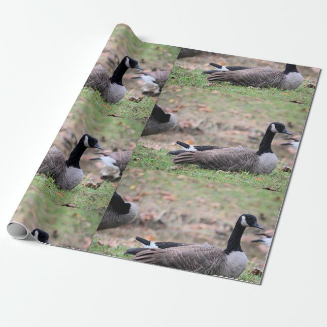 Papel De Regalo Goose (Desenrollado)