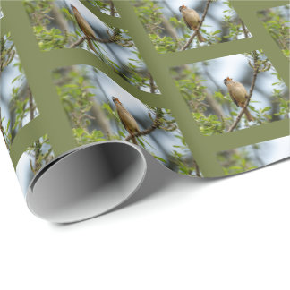 Papel De Regalo Gorrión de Corona Blanca - Fotografía de Aves de A